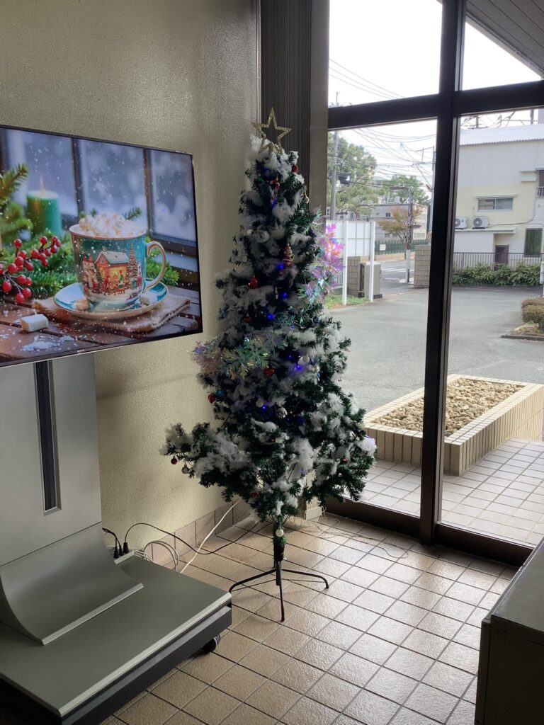 クリスマスツリーを飾りました！🎅🎄 | お知らせ・ブログ | 熊本歯科